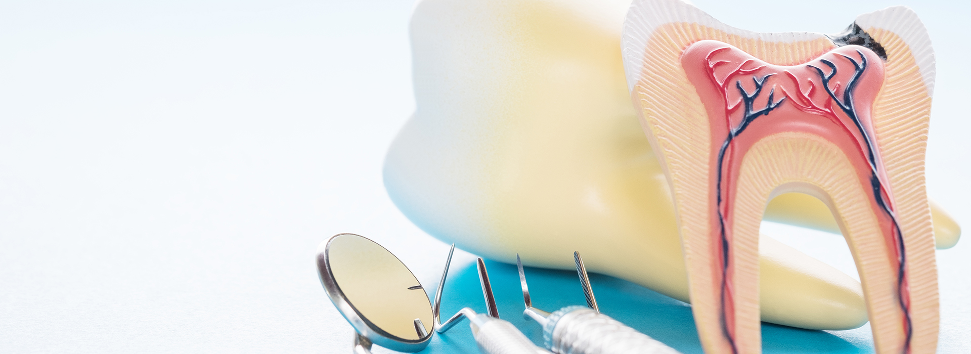 The image shows a dental model with a toothbrush and dental floss, placed on a blue background.